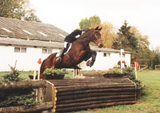 Pferd beim Überspringen eines Hindernisses auf dem Gelände der Reitschule