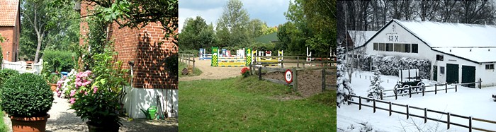 Studium mit Pferd in der Reit- und Fahrschule Dannenberg